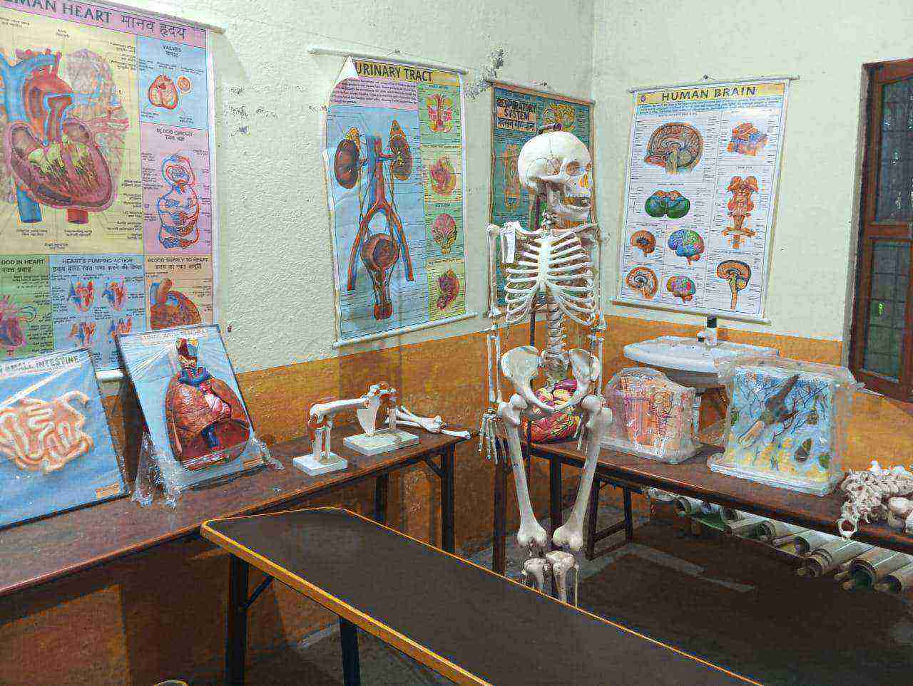 Medicine Lab